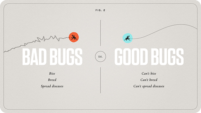 good-bad-bugs-1.jpg