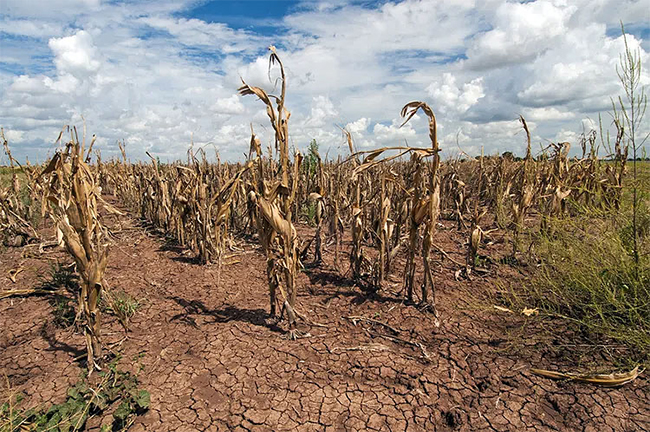 Trump Declares Fertilizer Emergency
